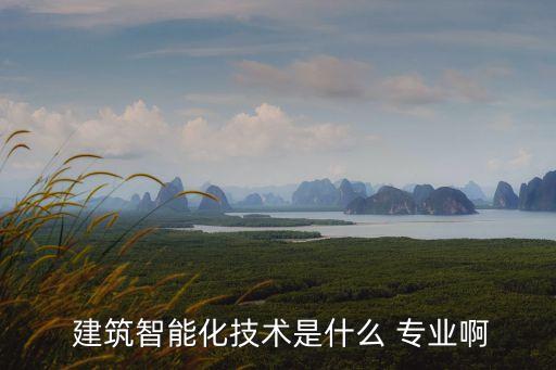  建筑智能化技術(shù)是什么 專業(yè)啊
