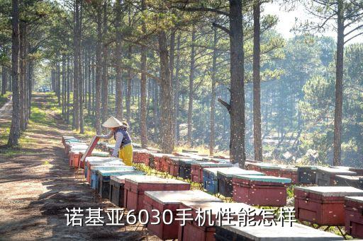 諾基亞6030手機性能怎樣