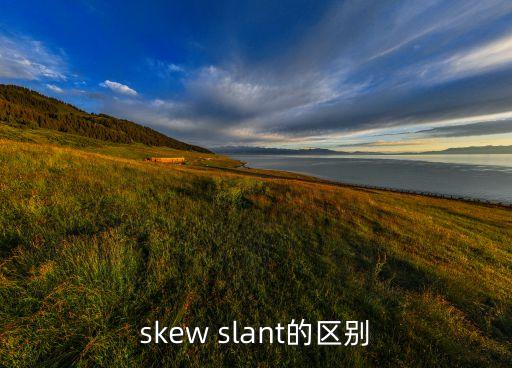 skew，數(shù)學(xué)中skew什么意思
