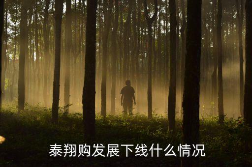  泰翔購(gòu)發(fā)展下線(xiàn)什么情況