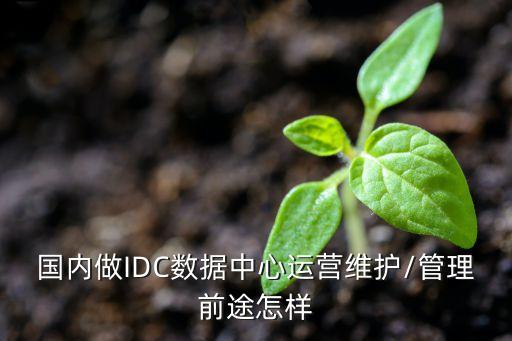 國內(nèi)做IDC數(shù)據(jù)中心運營維護/管理前途怎樣