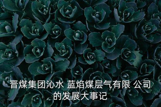 晉煤集團(tuán)沁水 藍(lán)焰煤層氣有限 公司的發(fā)展大事記