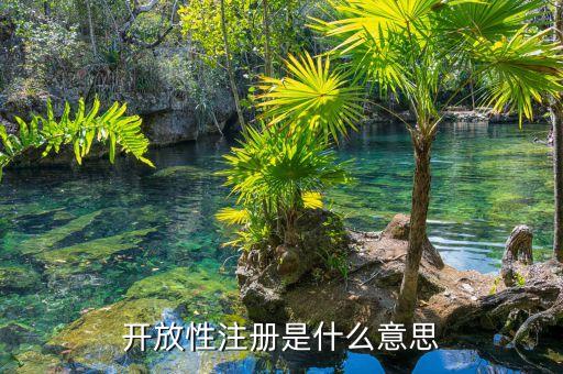 開放注冊，請問什么是開放注冊和授權(quán)注冊以及它倆的區(qū)別盡量詳細(xì)  搜