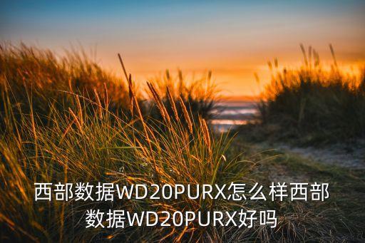 西部數(shù)據(jù)WD20PURX怎么樣西部數(shù)據(jù)WD20PURX好嗎