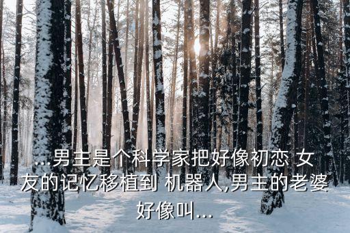 ...男主是個(gè)科學(xué)家把好像初戀 女友的記憶移植到 機(jī)器人,男主的老婆好像叫...
