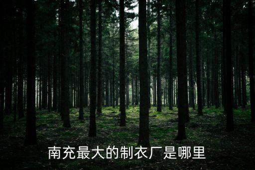 南充最大的制衣廠是哪里
