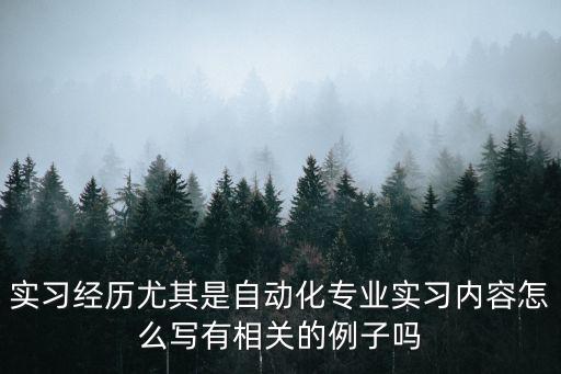 自動化專業(yè)經(jīng)歷,電氣自動化專業(yè)怎么樣?簡歷模板制作好