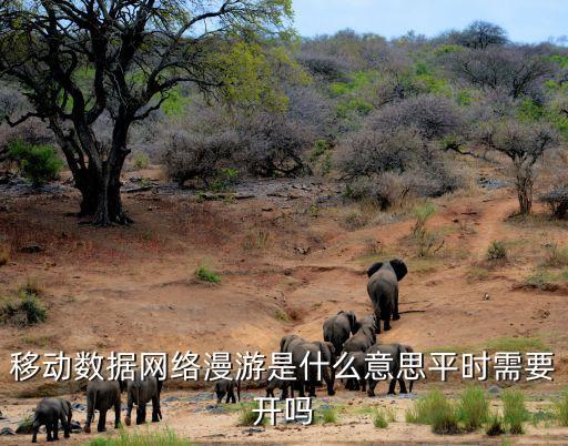 蘋果手機中數(shù)據漫游是什么意思,國際數(shù)據漫游有何意思?