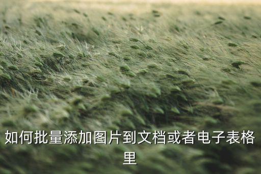 如何批量添加圖片到文檔或者電子表格里