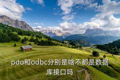 pdo和odbc分別是啥不都是數(shù)據(jù)庫(kù)接口嗎