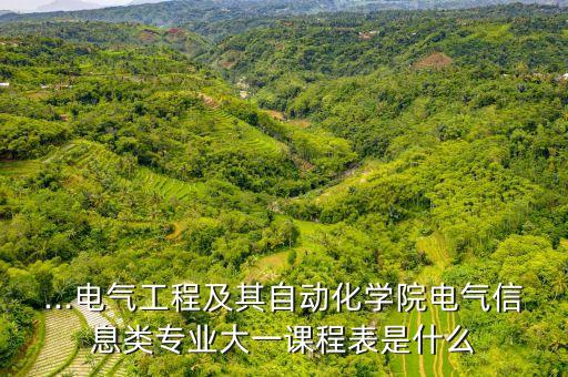 ...電氣工程及其自動化學院電氣信息類專業(yè)大一課程表是什么