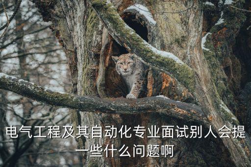 函授電氣自動(dòng)化答辯題庫(kù),電氣工程及自動(dòng)化?？飘厴I(yè)論文