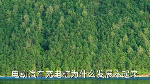 電動汽車充電樁為什么發(fā)展不起來