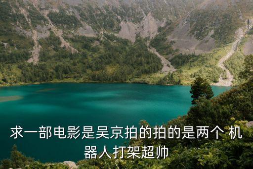 求一部電影是吳京拍的拍的是兩個 機(jī)器人打架超帥