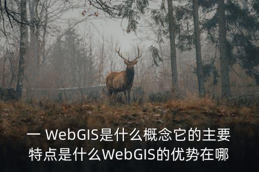 一 WebGIS是什么概念它的主要特點是什么WebGIS的優(yōu)勢在哪