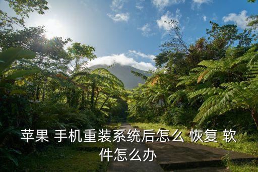 蘋果 手機(jī)重裝系統(tǒng)后怎么 恢復(fù) 軟件怎么辦