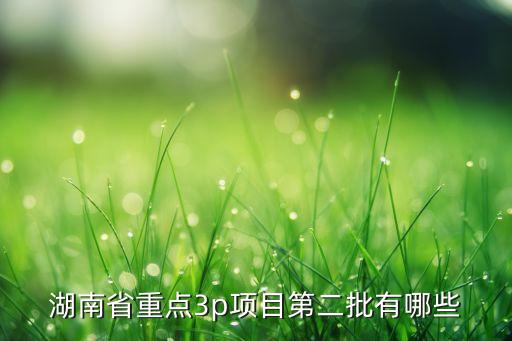 湖南省重點(diǎn)3p項(xiàng)目第二批有哪些