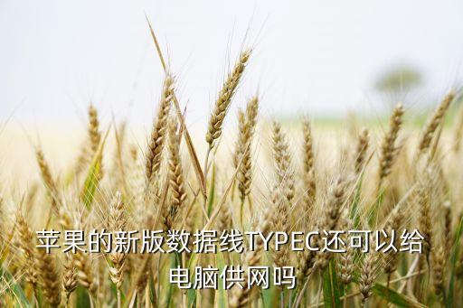 蘋果的新版數(shù)據(jù)線TYPEC還可以給電腦供網(wǎng)嗎