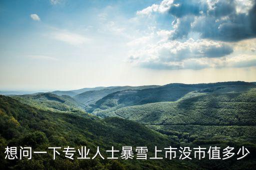 想問一下專業(yè)人士暴雪上市沒市值多少