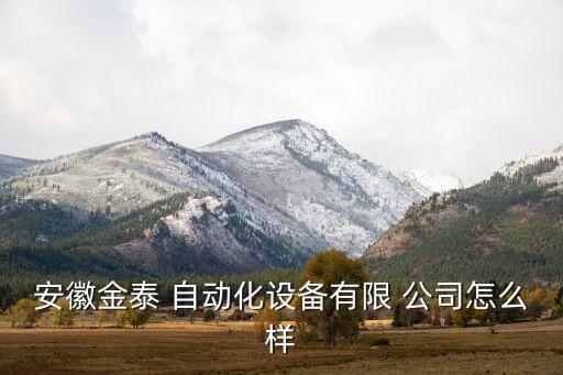 安徽金泰 自動(dòng)化設(shè)備有限 公司怎么樣
