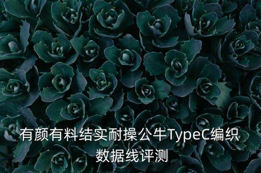 有顏有料結(jié)實(shí)耐操公牛TypeC編織 數(shù)據(jù)線(xiàn)評(píng)測(cè)