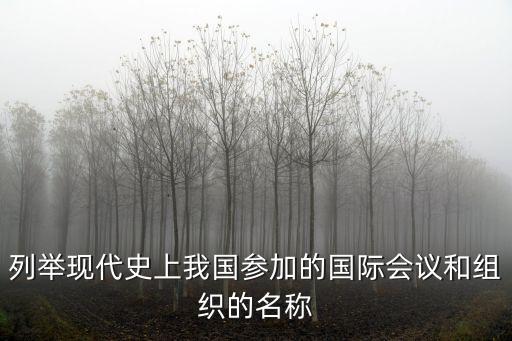 列舉現(xiàn)代史上我國參加的國際會議和組織的名稱