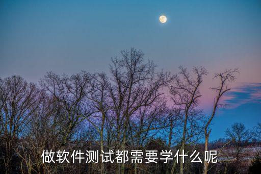 做軟件測(cè)試都需要學(xué)什么呢