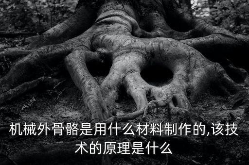 機(jī)械外骨骼是用什么材料制作的,該技術(shù)的原理是什么