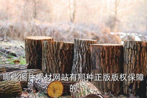 哪些圖片素材網(wǎng)站有那種正版版權(quán)保障的