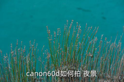 canon60d如何拍 夜景