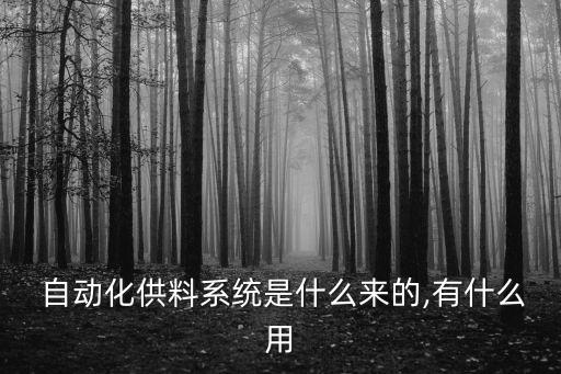  自動化供料系統(tǒng)是什么來的,有什么用