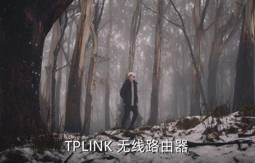 TPLINK 無線路由器