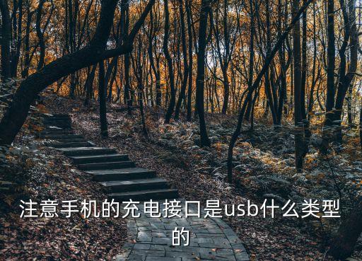 注意手機(jī)的充電接口是usb什么類型的