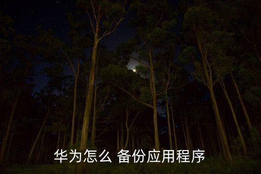 手機應用軟件數(shù)據(jù)備份,數(shù)據(jù)備份后應用軟件能恢復嗎?