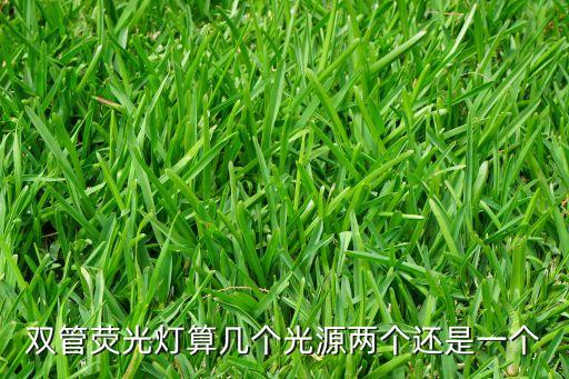 雙管熒光燈，雙管熒光燈 規(guī)格為220V 1X32W 的意思是把整個(gè)雙管看做一個(gè)整體
