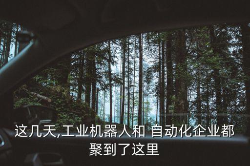 這幾天,工業(yè)機(jī)器人和 自動(dòng)化企業(yè)都聚到了這里