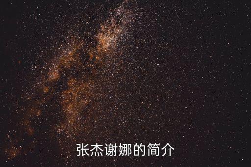 張杰謝娜的簡介