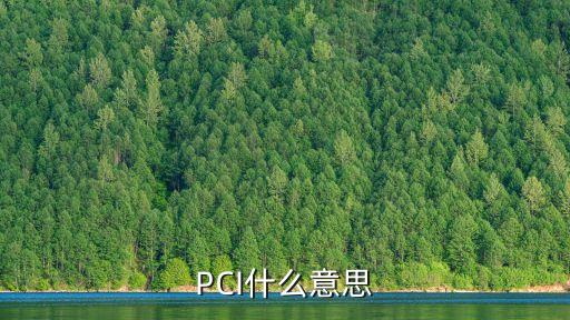 PCI什么意思
