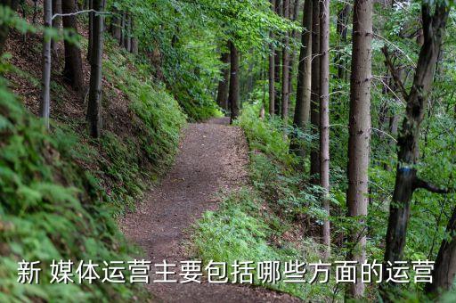 新 媒體運(yùn)營主要包括哪些方面的運(yùn)營