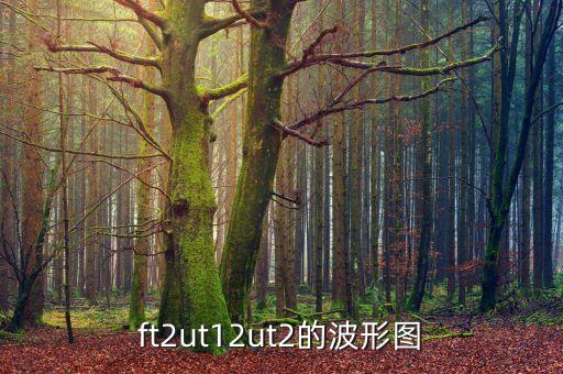 ft2ut12ut2的波形圖