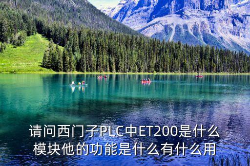 請(qǐng)問西門子PLC中ET200是什么模塊他的功能是什么有什么用