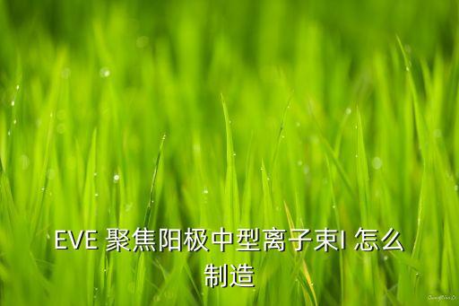 EVE 聚焦陽(yáng)極中型離子束I 怎么制造
