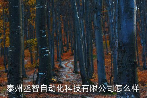 泰州丞智自動化科技有限公司怎么樣