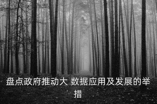 盤點政府推動大 數(shù)據(jù)應(yīng)用及發(fā)展的舉措