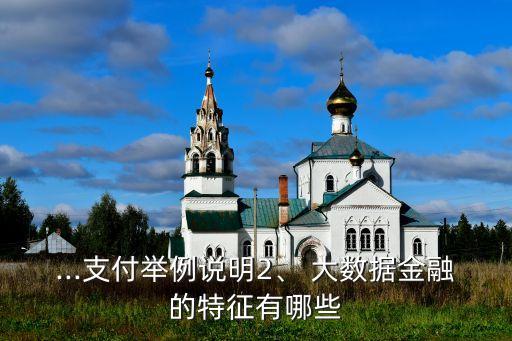 ...支付舉例說明2、 大數(shù)據(jù)金融的特征有哪些