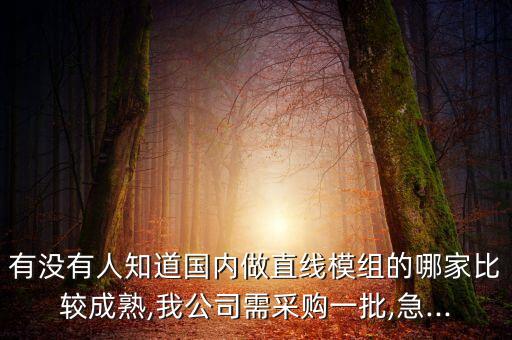 有沒有人知道國內(nèi)做直線模組的哪家比較成熟,我公司需采購一批,急...