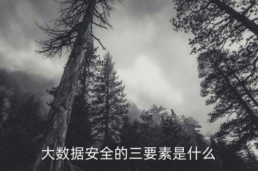 大數(shù)據(jù)安全的三要素是什么