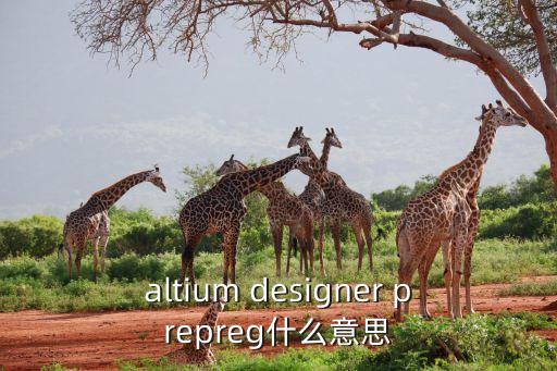 altium designer prepreg什么意思