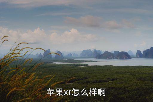 蘋果xr怎么樣啊