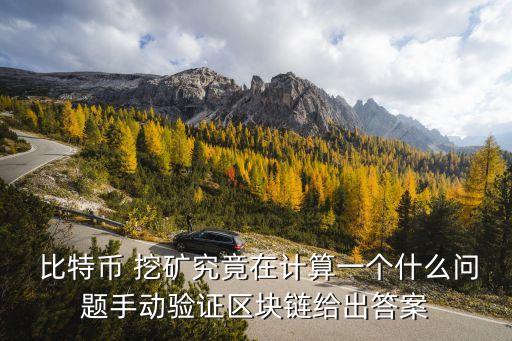  比特幣 挖礦究竟在計算一個什么問題手動驗證區(qū)塊鏈給出答案